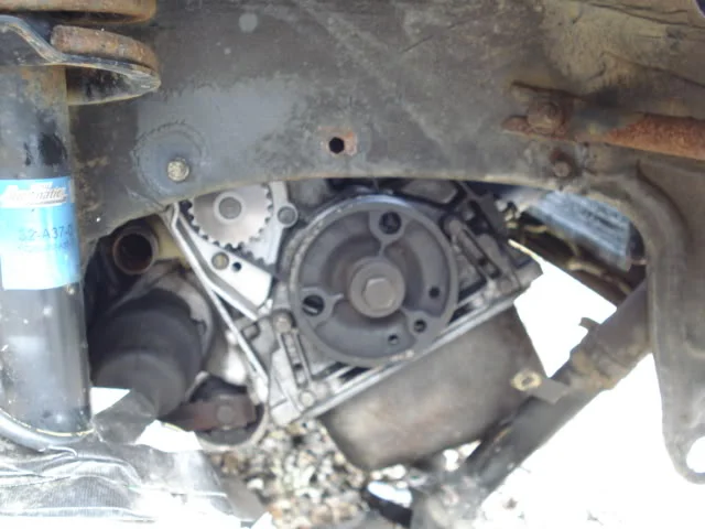 DSC02243.webp