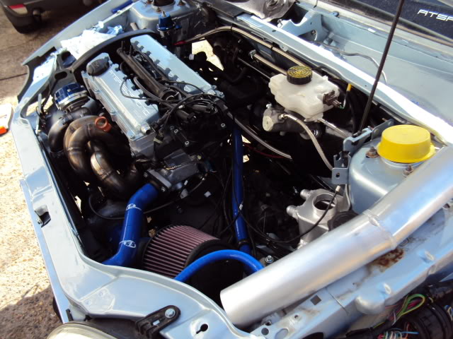 DSC02250.jpg