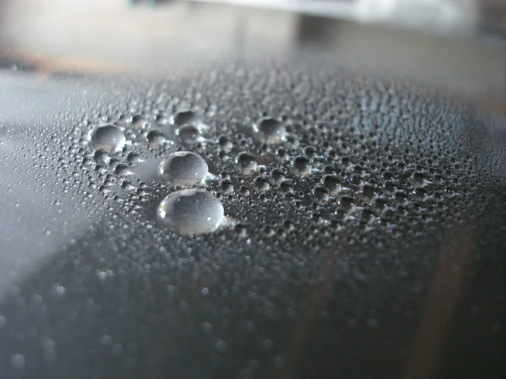 DSC02366.webp