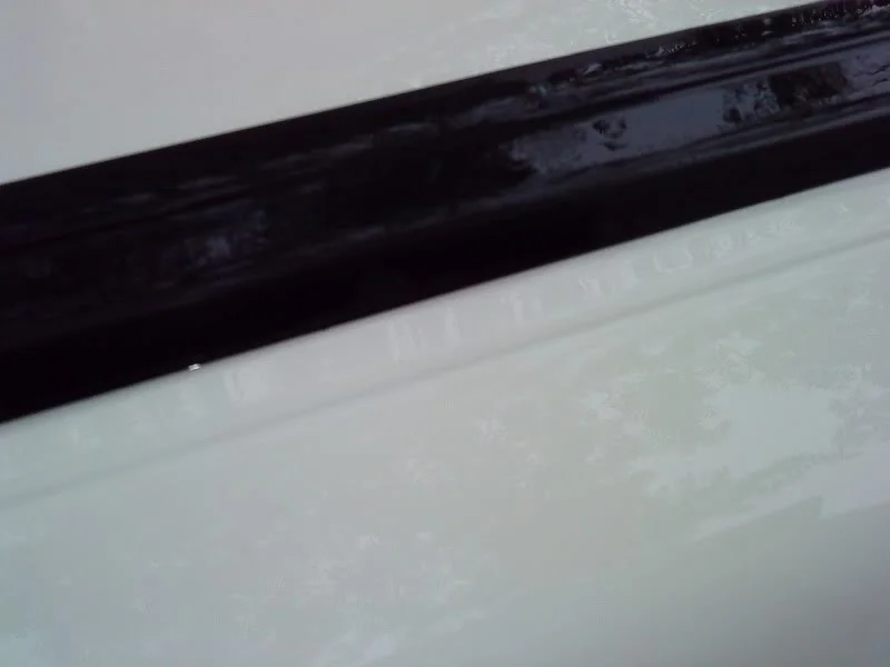 DSC02399.webp
