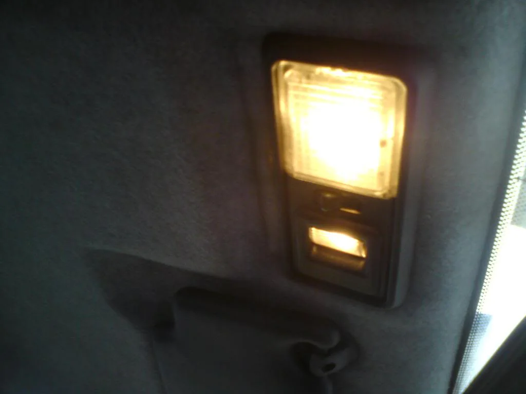 DSC02453.webp
