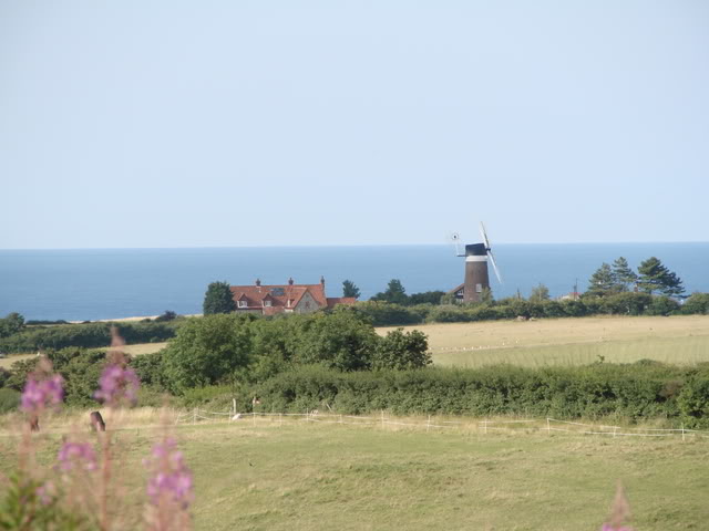 DSC02460.jpg