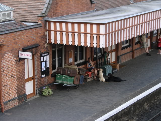 DSC02464.jpg