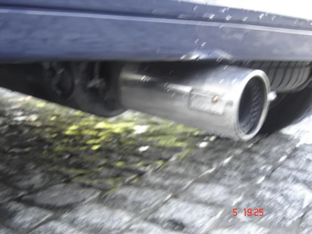 DSC02466.webp