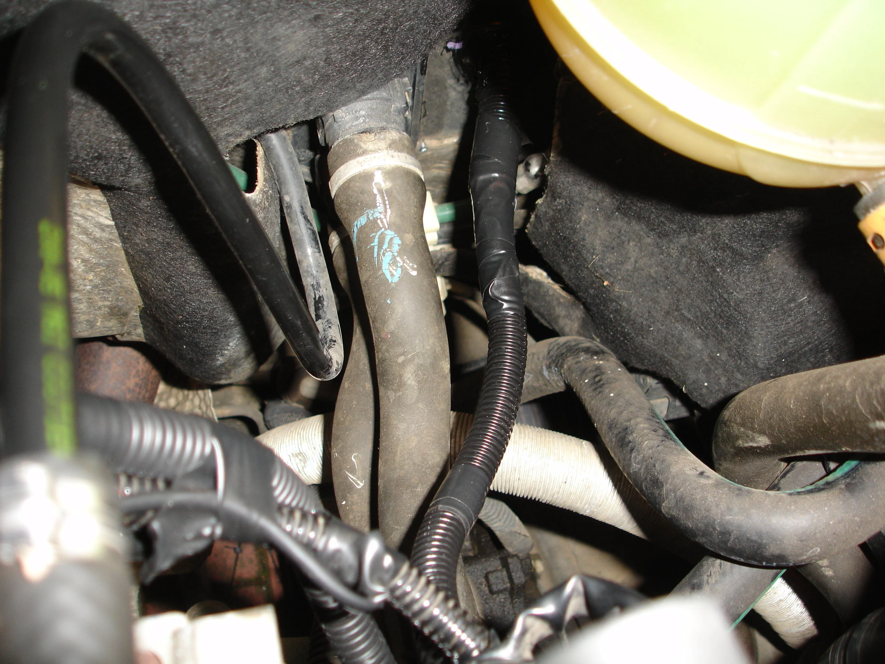 DSC02493.webp