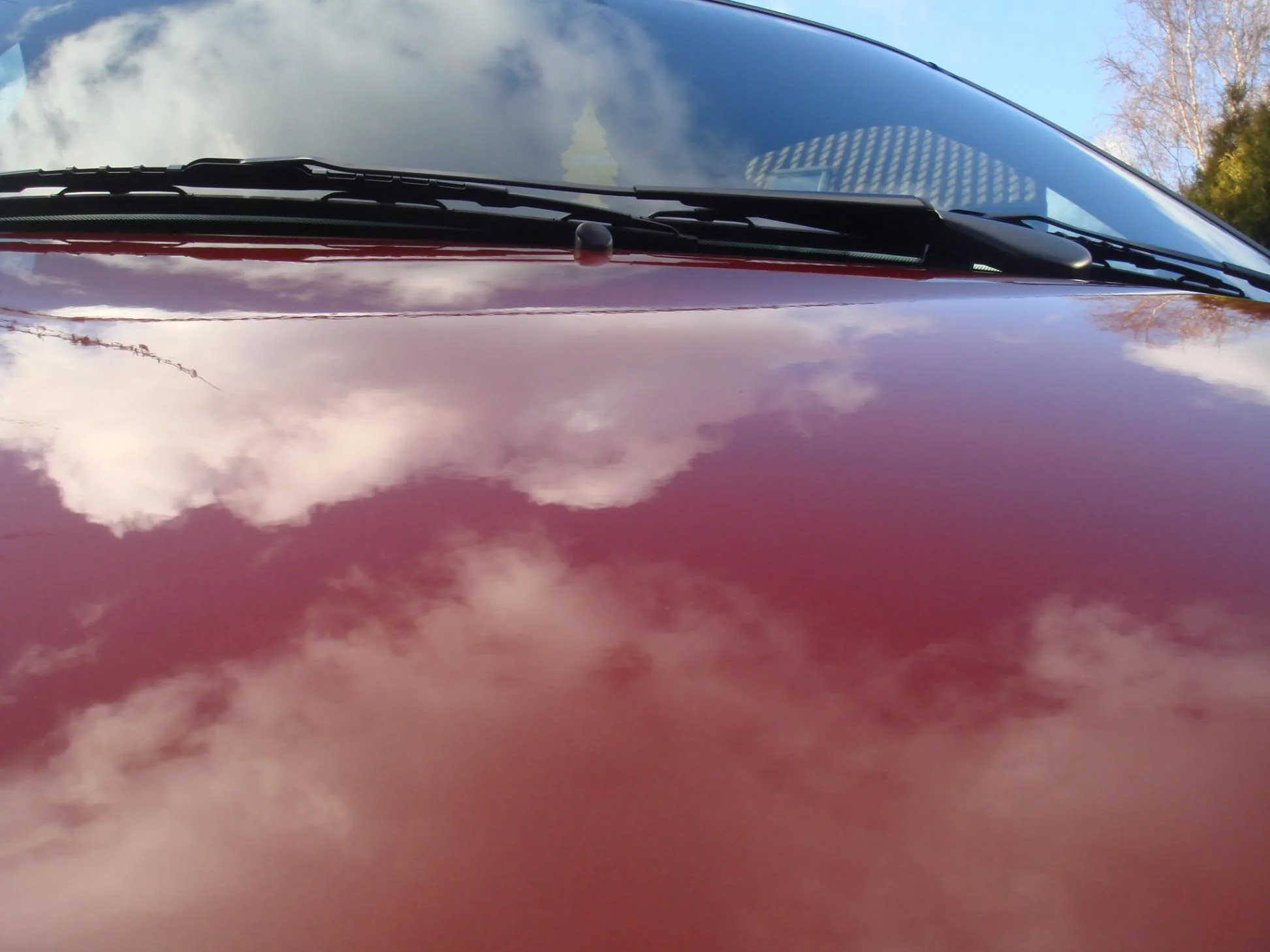DSC02503.webp