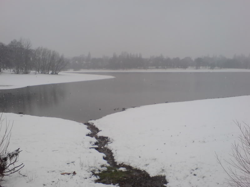 DSC02670.jpg