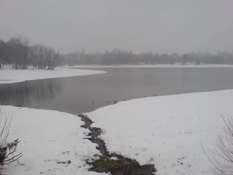 DSC02670.webp