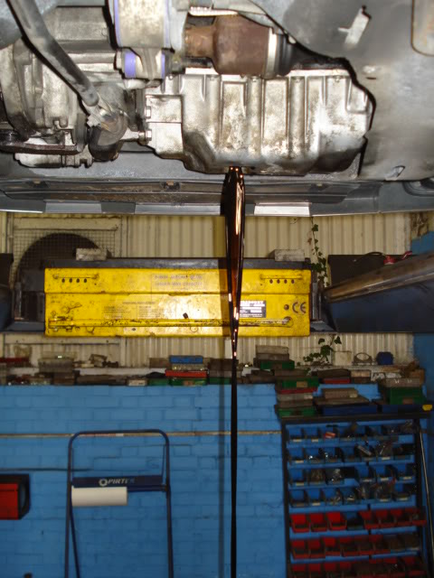 DSC02692.jpg