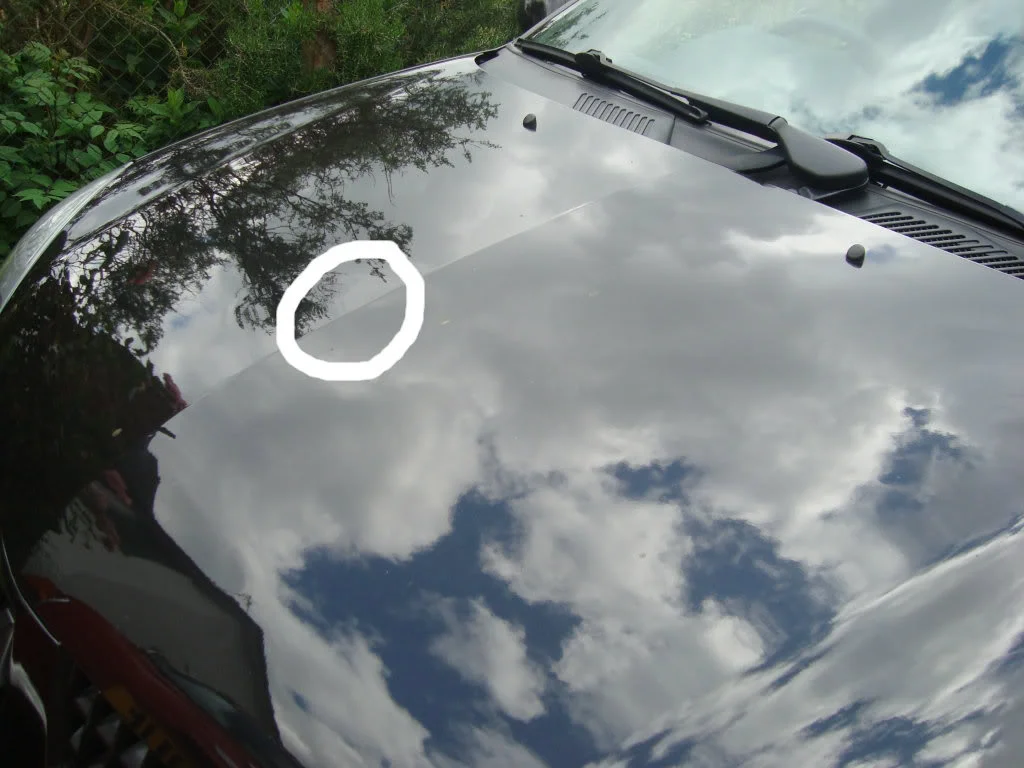 DSC03043-1.webp
