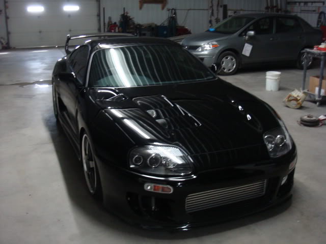 DSC03043.jpg