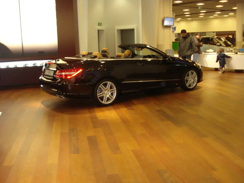 DSC03113.webp