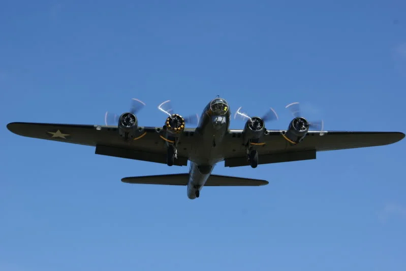 DSC03139.webp