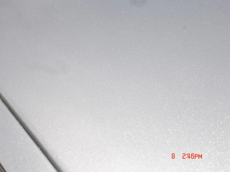 DSC03167.webp