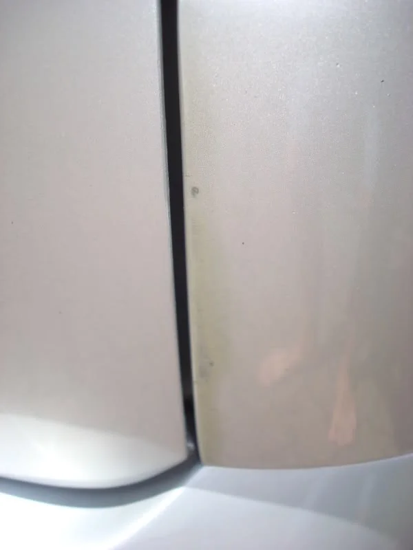 DSC03233-1.webp
