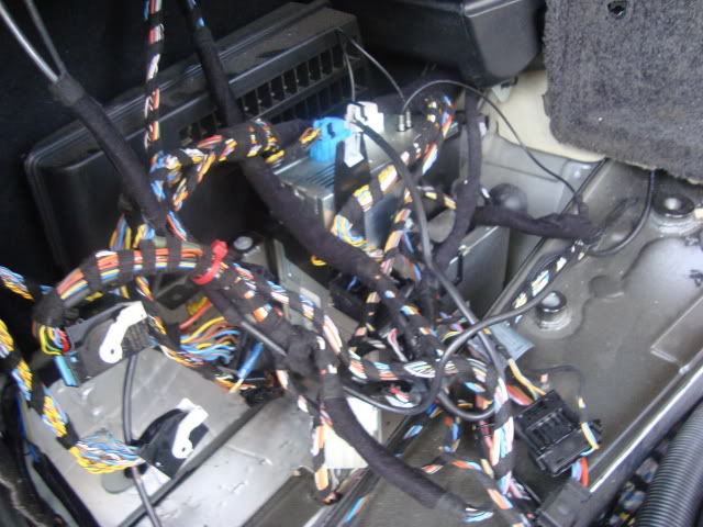 DSC03340.jpg DSC03340.jpg