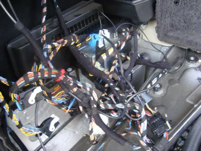 DSC03340.webp
