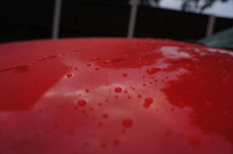 DSC03387_zps1f3281dc.webp