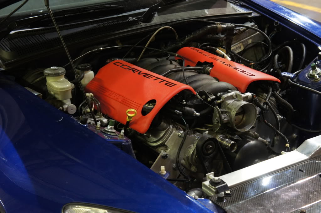 DSC03450.jpg DSC03450.jpg