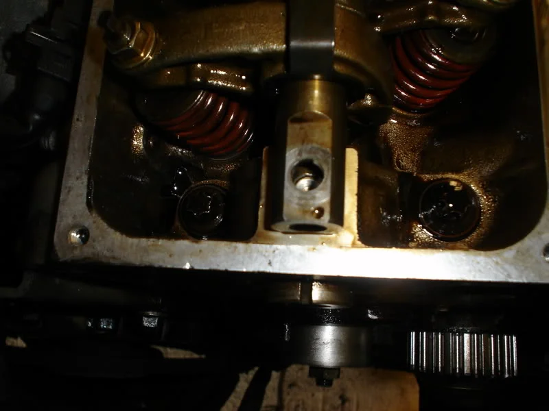 DSC03516-1.webp