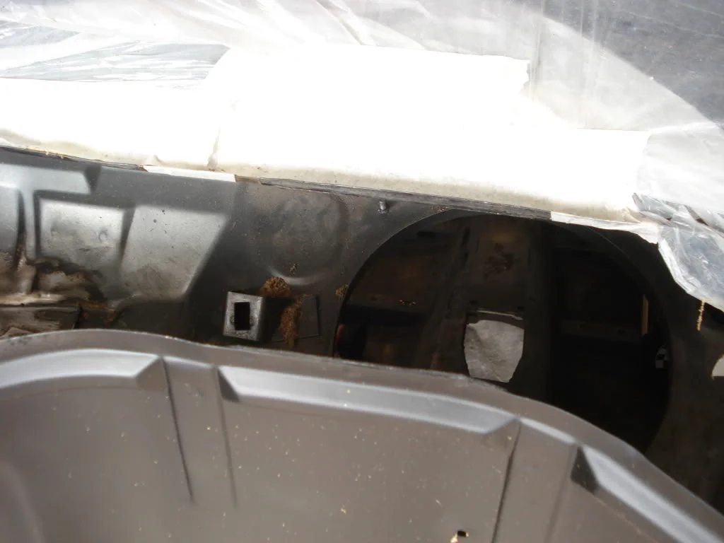 DSC03629.webp