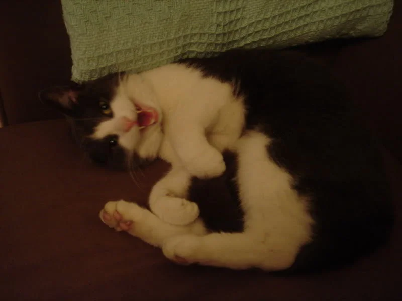 DSC03792.webp