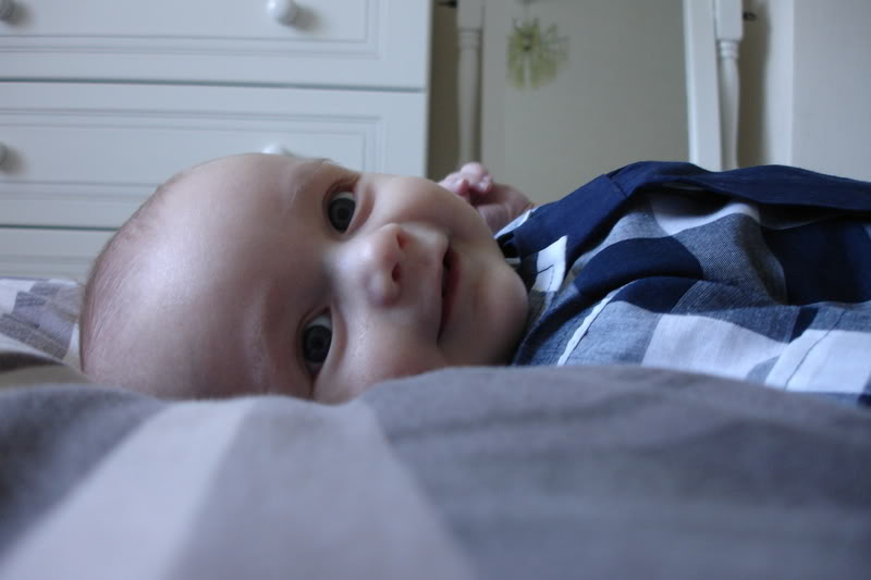 DSC04081.jpg DSC04081.jpg