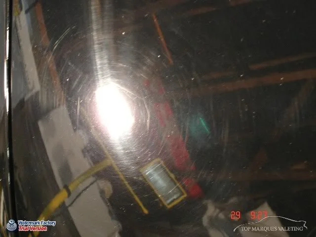 DSC04245.webp