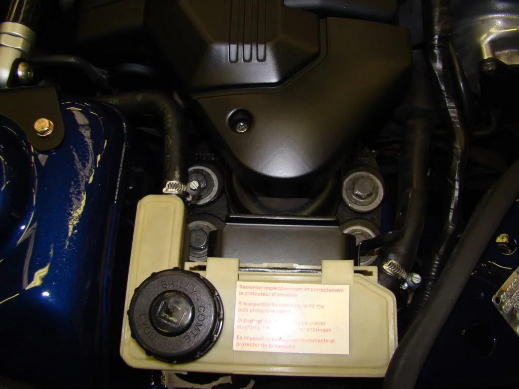 DSC04356.webp