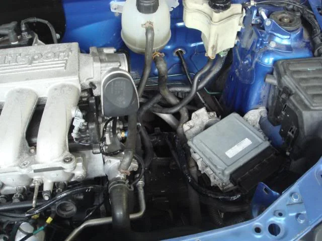 DSC04454.webp