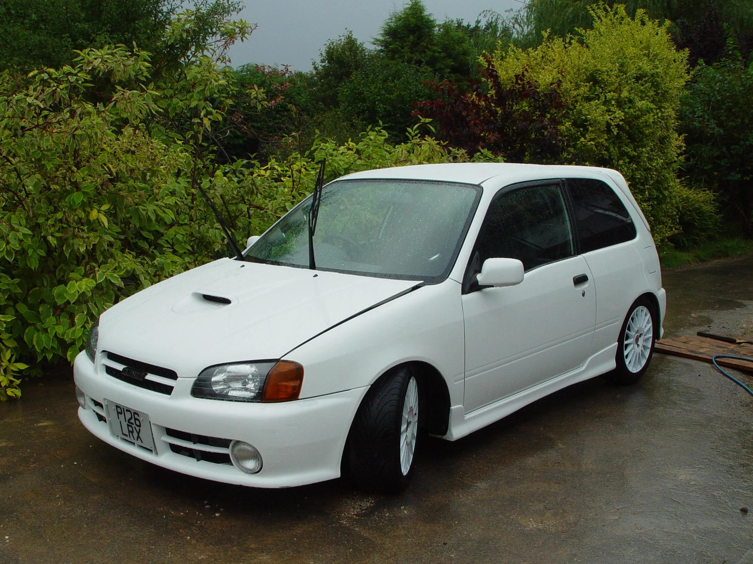 DSC04651.webp