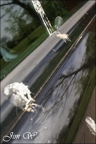 DSC04749wd.jpg DSC04749wd.jpg