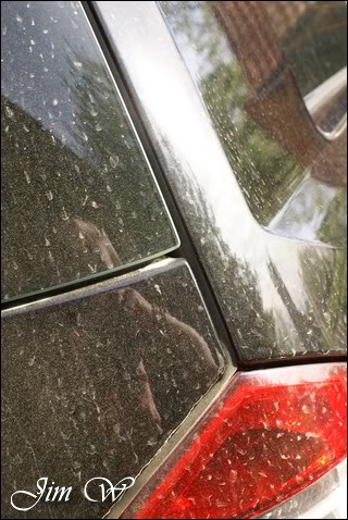 DSC04763wd.jpg DSC04763wd.jpg