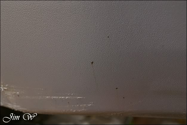 DSC04770wd.jpg DSC04770wd.jpg