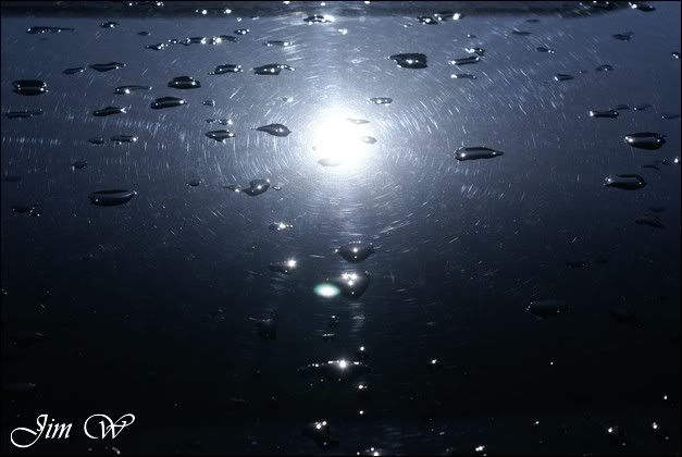 DSC05002wd.jpg DSC05002wd.jpg