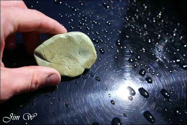 DSC05015wd.jpg DSC05015wd.jpg