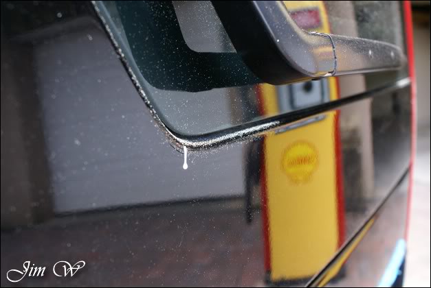 DSC05194wd.jpg DSC05194wd.jpg