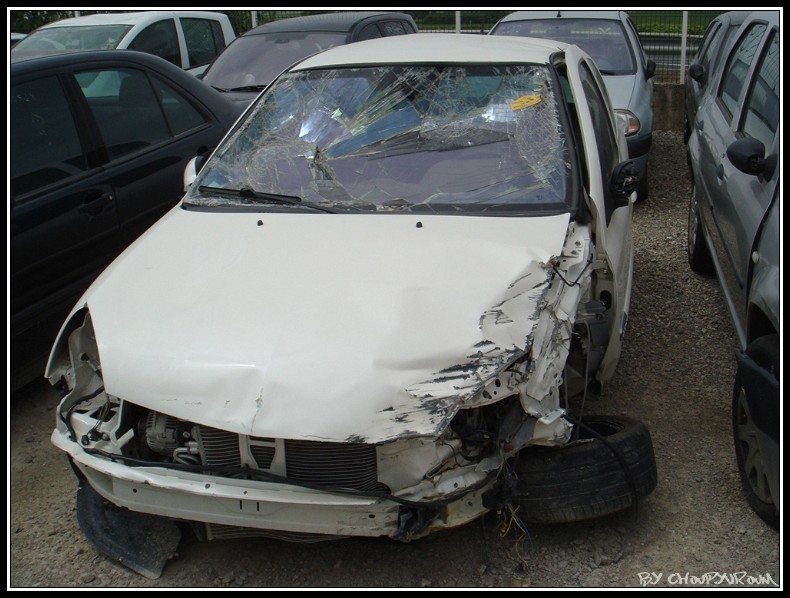 DSC05278border.jpg DSC05278border.jpg