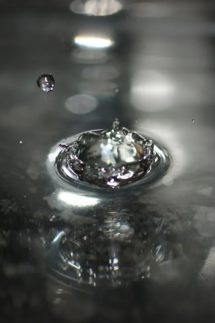 DSC05281.webp