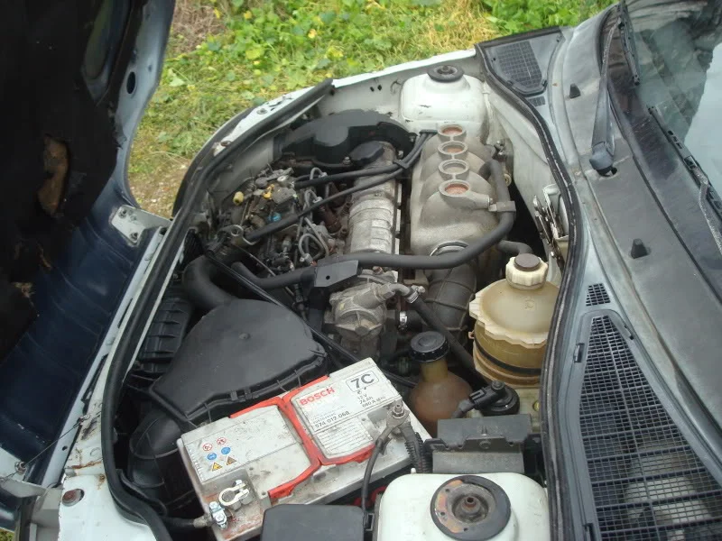 DSC05356.webp