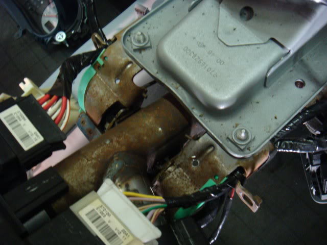 DSC05512.jpg
