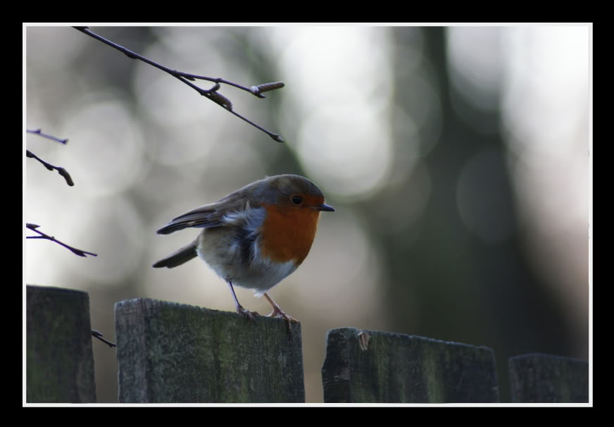 DSC05731-1.jpg