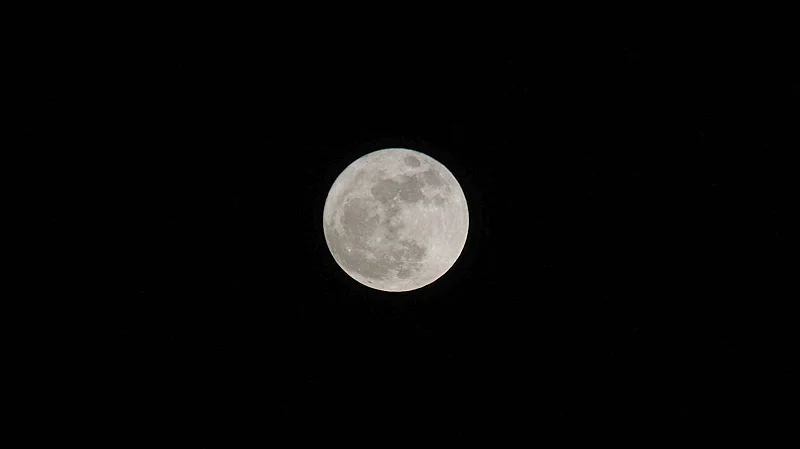 DSC05733.webp