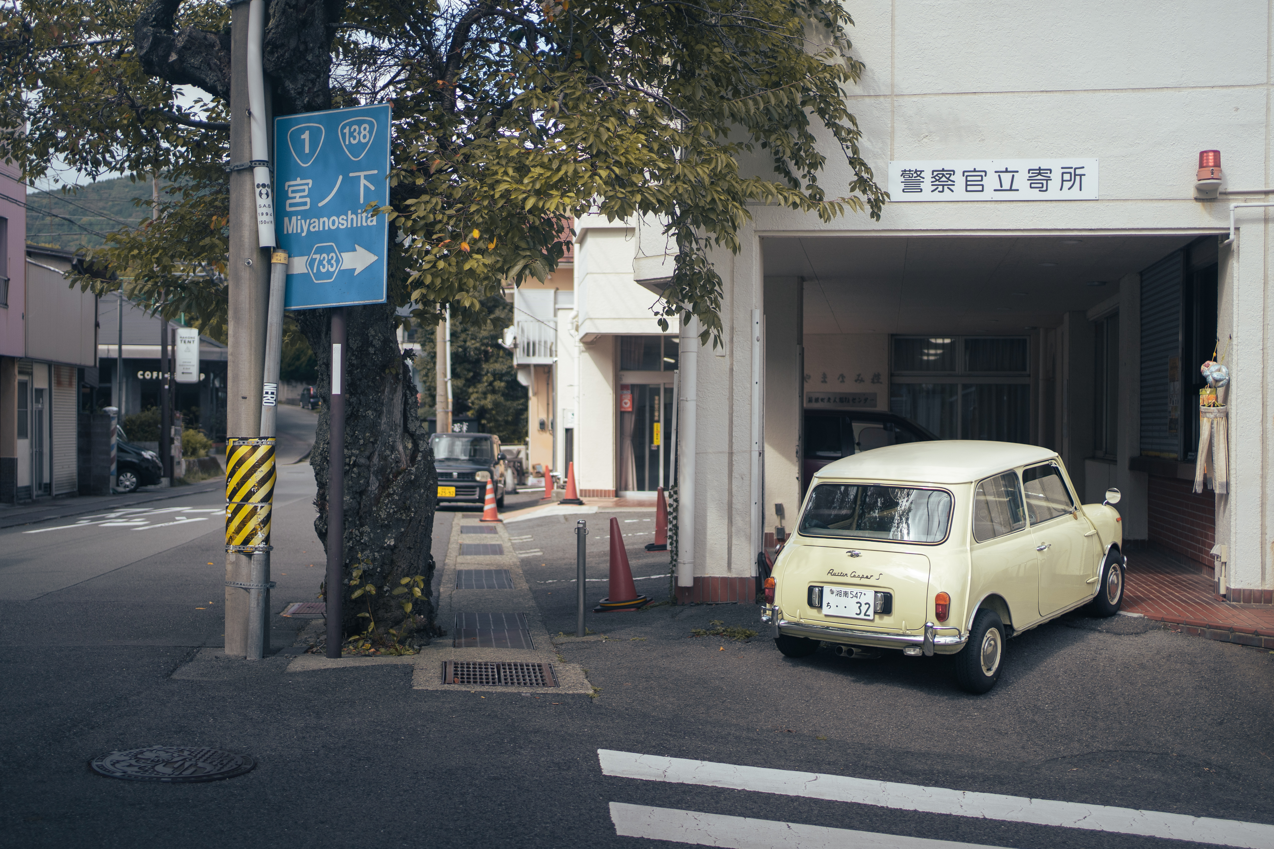 DSC06089.jpeg