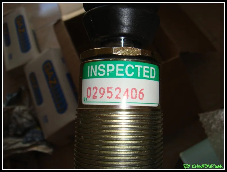 DSC06231border.webp