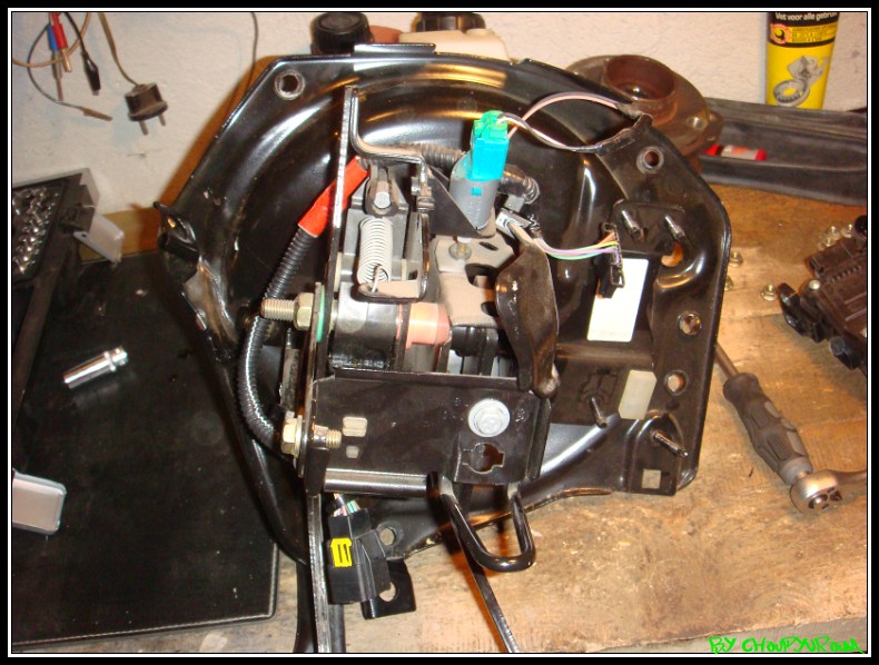 DSC06549border.jpg