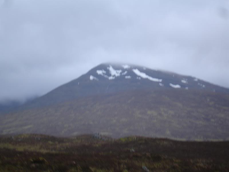 DSC06674.jpg