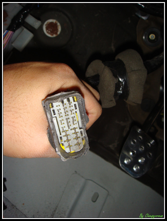 DSC06683border.jpg