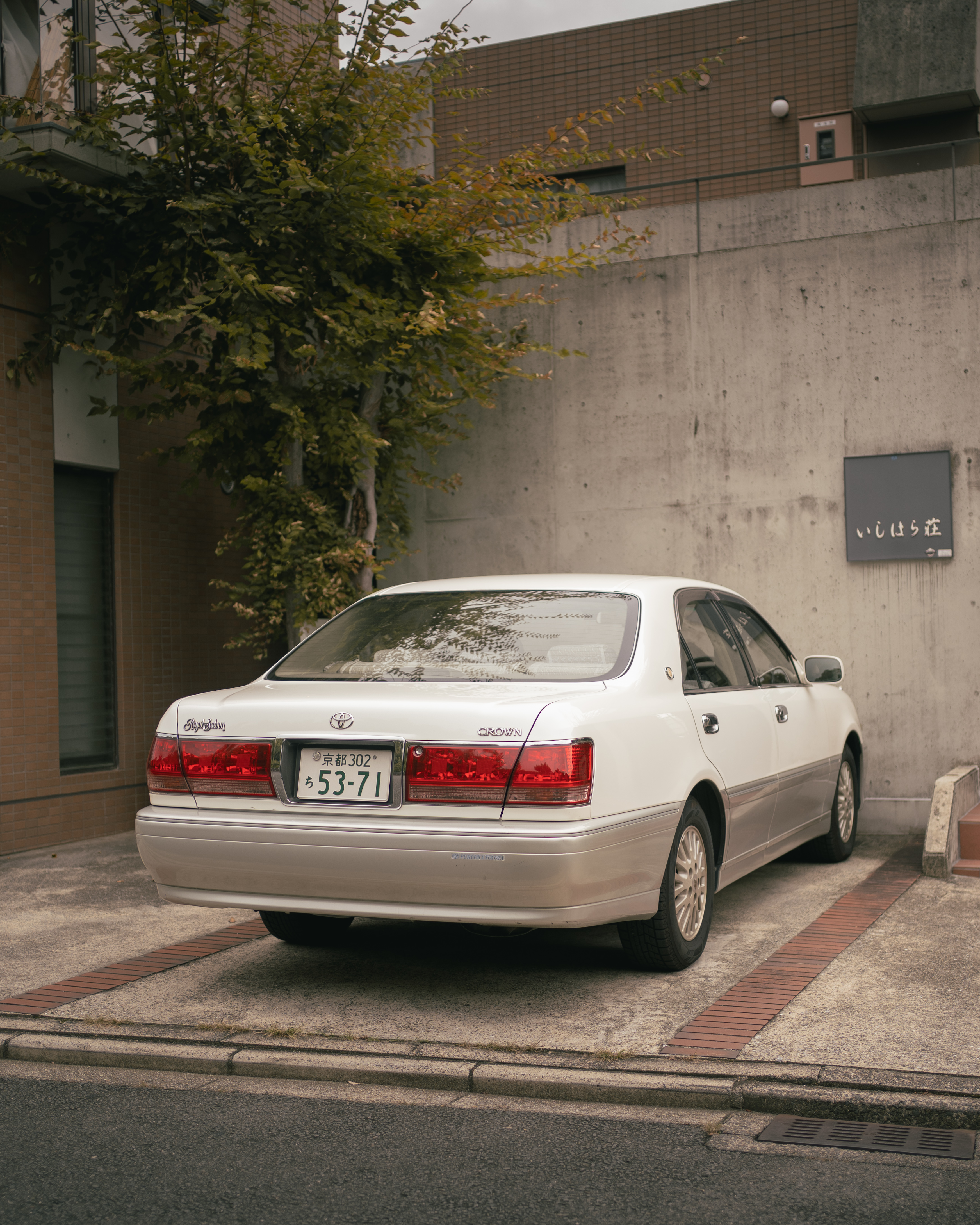 DSC07017.jpeg