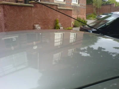 DSC07114.webp